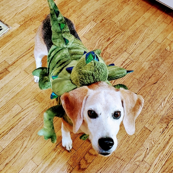 Meet your Posher, Victoria - Picture 2 of 16